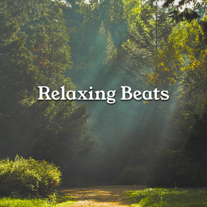 Relaxing Beats 🍃 Relaxing Music to chill / study / relax playlist cover