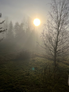 Summer is on the way