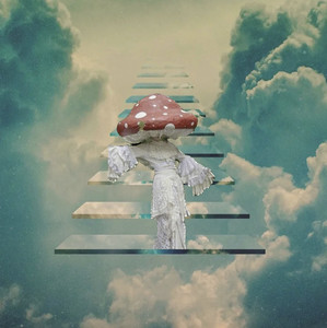 Semaphore  cover