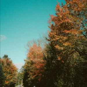 autumn indie vibes