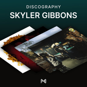 spotify image