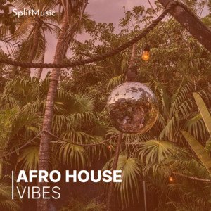 Afro House Vibes cover
