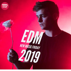 BEST EDM 2019 (HARDWELL, MARTIN GARRIX, AFROJACK, DAVID GUETTA,CALVIN HARRIS) cover