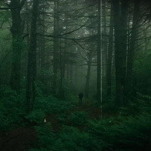 Nature sound ambient Spotify playlist cover art