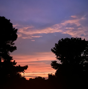 Me playlist (: — cover art