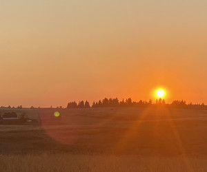 Cozy country instrumental — cover art