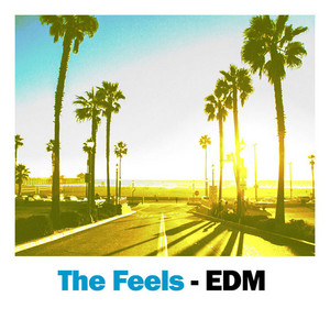 EDM- The Feels - Melodic Bass Hits cover
