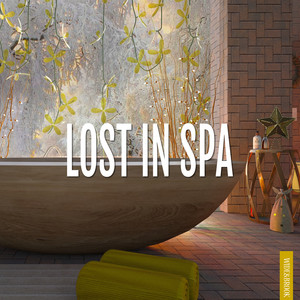 Lost In Spa cover