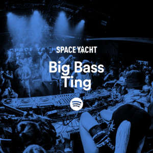 BIG BASS TING cover