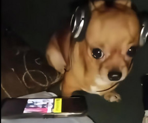 Imagem de Jhonblack
