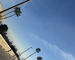 VINCENT'S MUSIC #1  — cover art