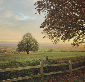 ёямаёямсёяндёякрёями Playlist By Leah Spotify