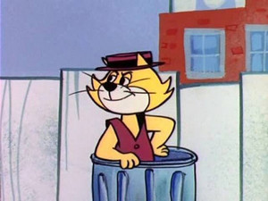 Imagem de Garoto Centro Oeste