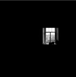 Sonic Shadows in the endless Dystopia