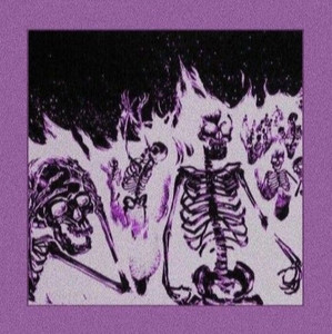 Emerging Young Punk cover