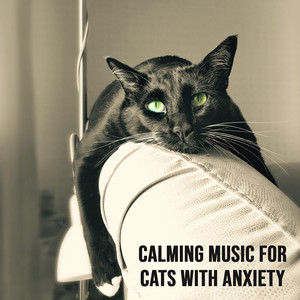 Calming Music for Cats with Anxiety – Gentle Pet Soothing Sounds ... - Cat Anxiety Calming Music Playlist