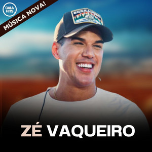 Imagem de Zemendes o Vaqueiro