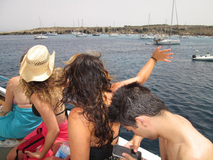 malta sajf — cover art