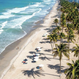 🌴Venezuelan vibes🥥 — cover art