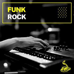 Funk Rock cover