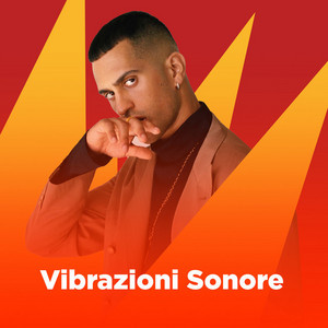Vibrazione Sonore cover