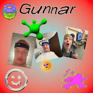 Gunnar — cover art