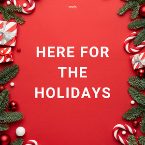 Here for the Holidays