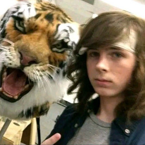 songs that remind me of Carl Grimes/Chandler Riggs - playlist by Mochii