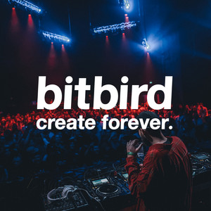 bitbird releases - playlist by bitbirdofficial | Spotify