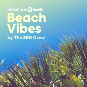 Beach Vibes — cover art