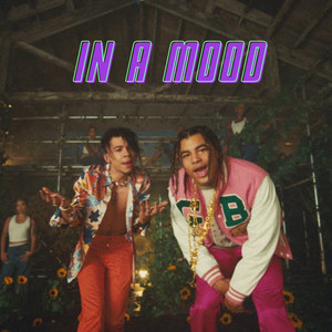 IN A MOOD cover
