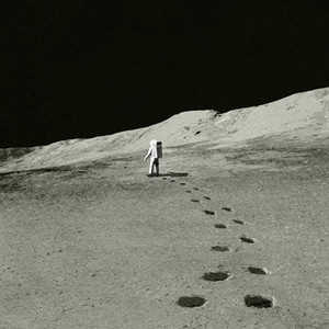 Imagem de Moon Safari