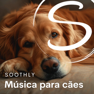 Música para cães - playlist by Soothly | Spotify