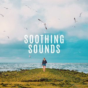 Soothing Sounds - Neoclassical, ambient, piano, post rock, orchestral