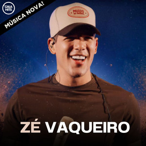 Zé Vaqueiro 2026 Atualizado Muído Original | Ela jogou no gpt | Flash | Namora só | Diamante Forró playlist cover