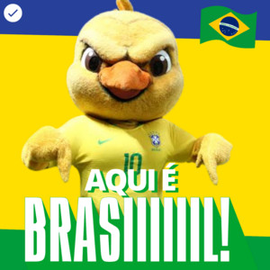 #10. TORCIDA BRASIL 2026 - COPA DO MUNDO  🇧🇷 | musica da copa do mundo | brasil a selecao chegou | vini jr Brazilian Funk Playlist Spotify