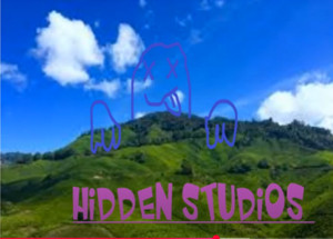 Hidden Studio's Independent Record Label