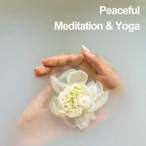Peaceful Meditation & Yoga