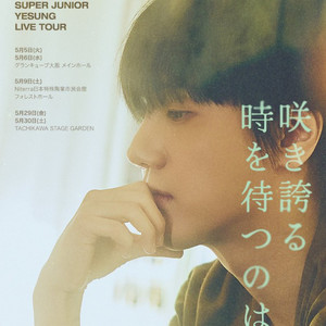 YESUNG 咲き誇る時を待つのは アルバム 4種セット　新品未開封 SUPER JUNIOR-YESUNG LIVE TOUR 『咲き誇る時を待つのは』(Waiting for