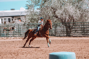 BARREL RACING SONGS - playlist by SunshineEQ | Spotify