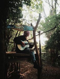 The Folk Revival cover
