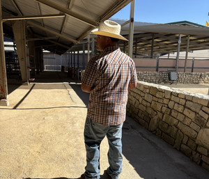 Dk’s playlist — cover art