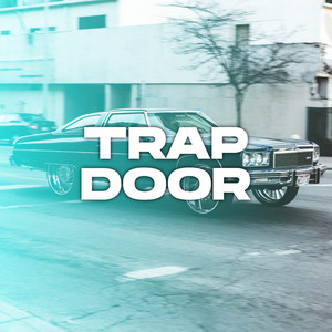 Trap Door cover