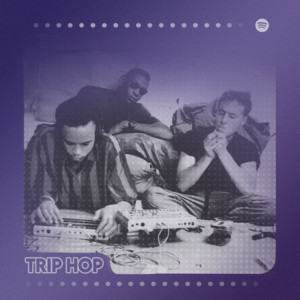 TRIP-HOP plus