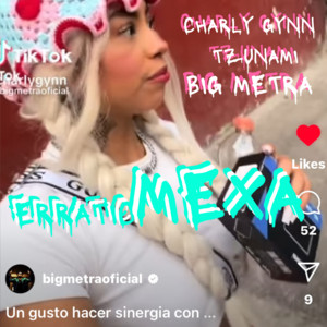 erraticMEXA cover