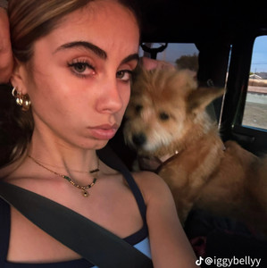 Iggybelly - playlist by caitlinwai | Spotify