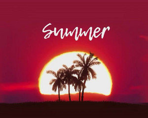 Summer House ☀️ cover