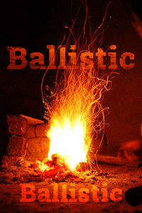 Ballistic cover