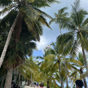 CERVEZA POR FAVOR — cover art