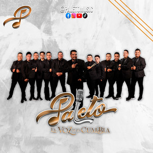 Juan Carlos Tapia Paleto: Exitos 2025 / Cumbias Para Bailar / Cumbias Del Sureste — cover art